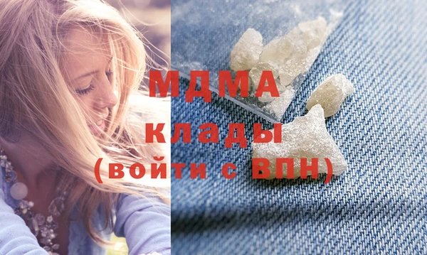 стаф Алзамай