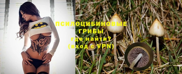дмт Абаза