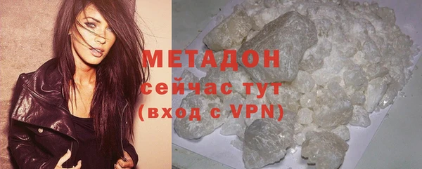стаф Алзамай