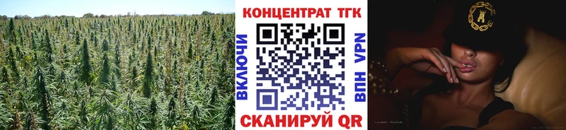 цена   Новосибирск  ТГК концентрат 