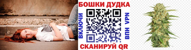 закладки  Новосибирск  Конопля Ganja 